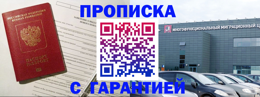 прописка поиск в Кингисеппе